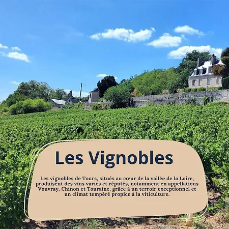 Villa Michelet - Jacuzzi - Sauna - Hyper Center Tours