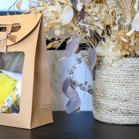 Michelet - Jacuzzi - Sauna - Hyper Center Villa