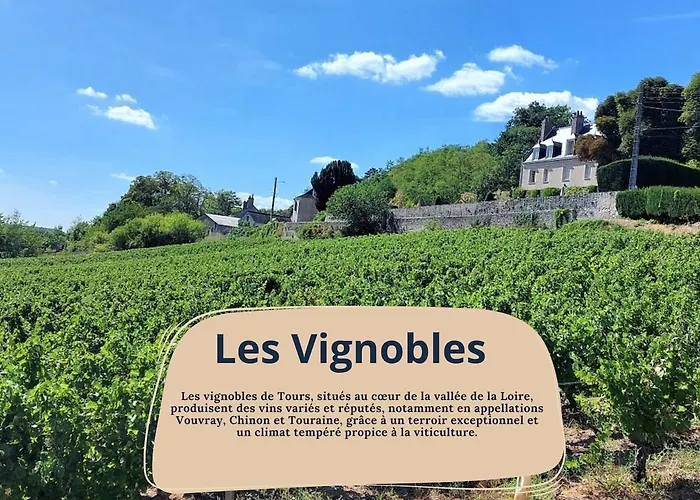 Villa Michelet - Jacuzzi - Sauna - Hyper Center Tours