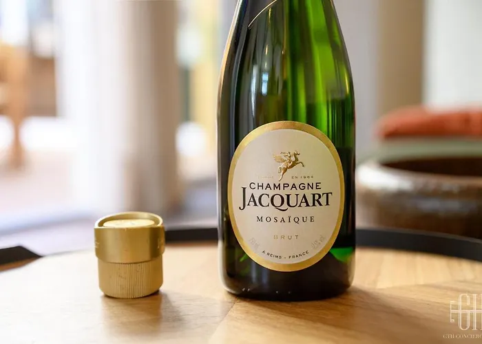 Michelet - Jacuzzi - Sauna - Hyper Center Tours